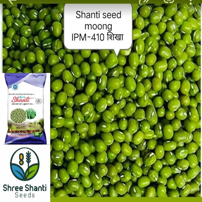 PDM-139 Samrat मूंग